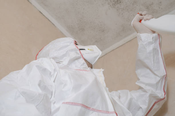 Crawl Space Mold Removal in Elko New Market, MN
